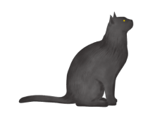 cat_Blk_R