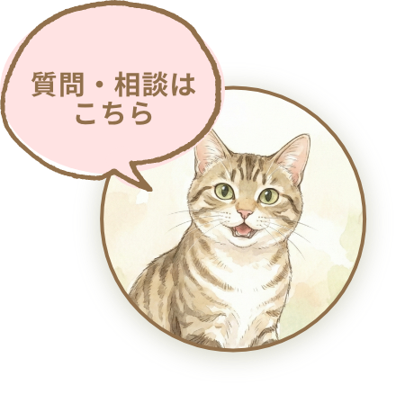 質問・相談はこちら