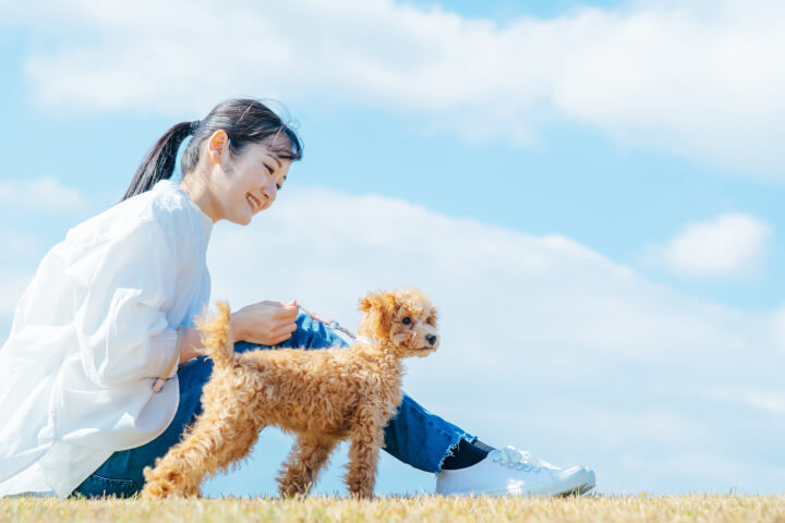 楽しい生活のお手伝い