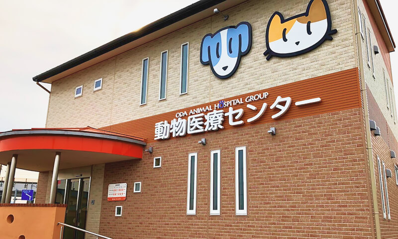 動物医療センター