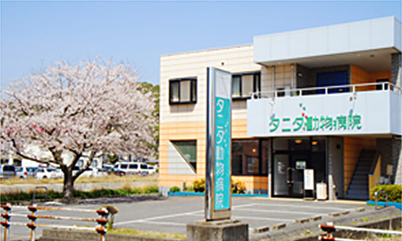タニダ動物病院