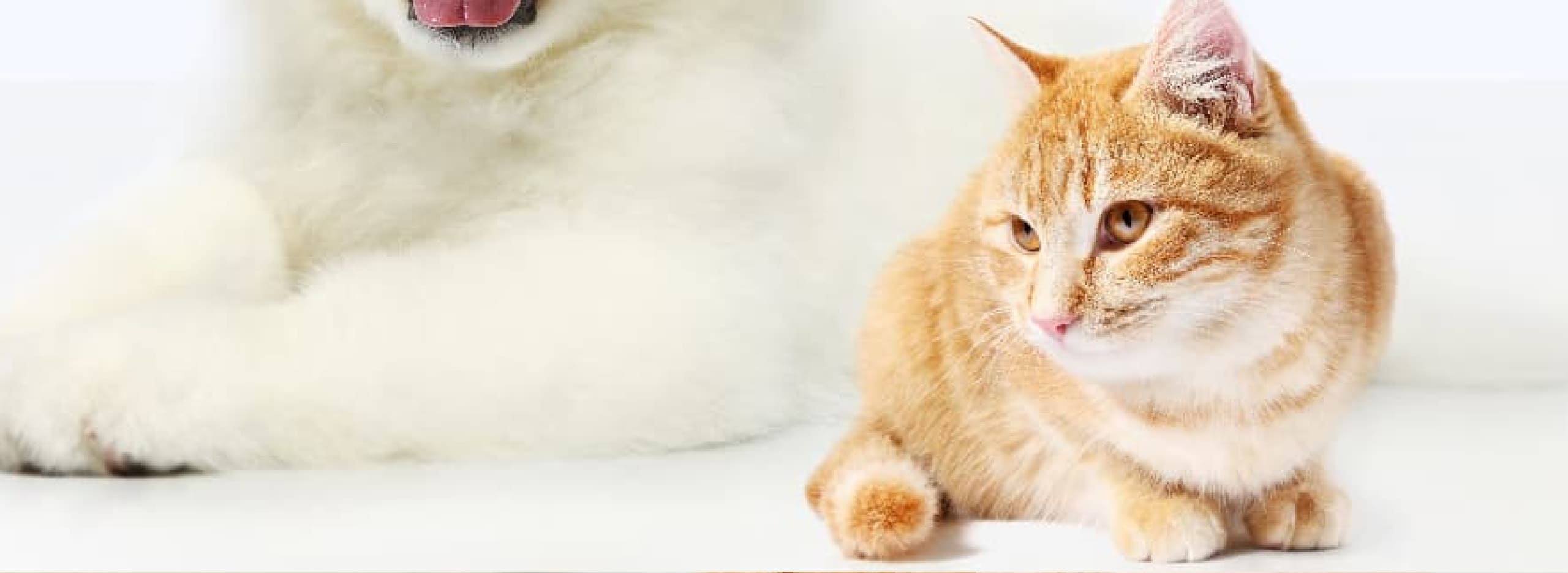 当院が初めての方へ