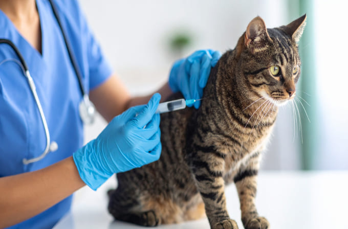 当院でできる補完代替療法