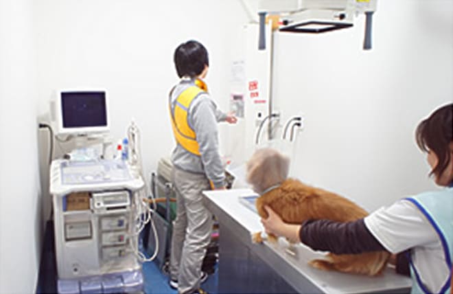 レントゲン・エコー・眼科検査室