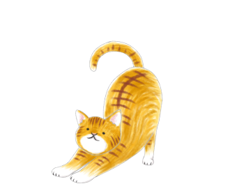 ネコちゃん用