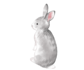 うさぎ