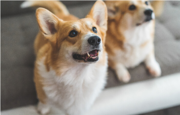 ガンは治りますか？