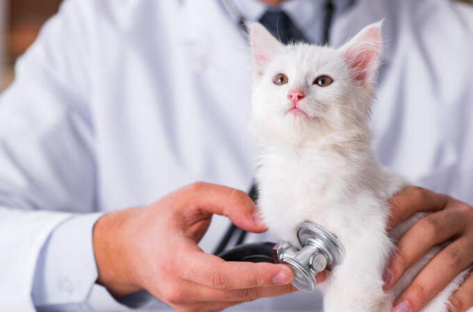 統合医療は有効？