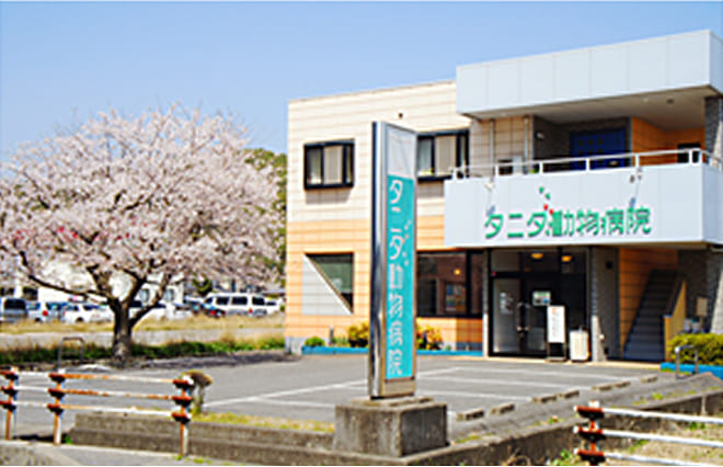 病院駐車場・玄関